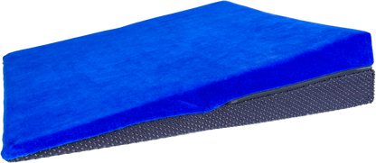 elsa Keilkissen spezial